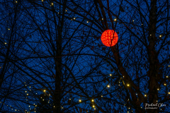 Michael-Chin-2024-Xmas-05