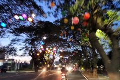 kirby-wang-20241206_174648PpgChristmasLightsUp8