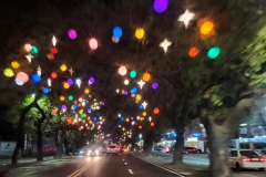 kirby-wang-20241206_193926PpgChristmasLightsUp2