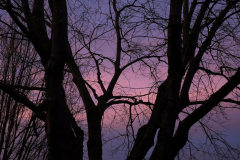 Brenda-Luciuk-Pink-Sky-home