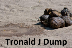 Cliff-5_TronaldDump