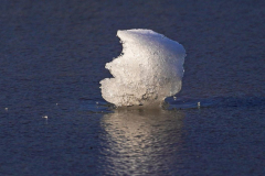 Dorothy-Singleton-dorothy_2_Open-Gallery-DSC03919-Ice-Berg1