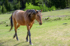 Chuck-Vaugeois-Hello-1