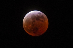 Dorothy-Singleton-dorothy_1_OpenGallery-DSC05677-11.25pm-Full-Lunar-Eclipse3
