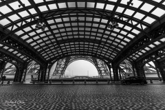 Michael-Chin-The-Parisian-Macau