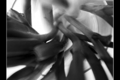 Peter-Lau-03-BW-Abstract