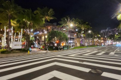 kirby-wang-20250206_192602StreetSceneHawaii2-mpc