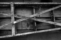 Michael-Chin-Street-2