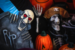 Michael-Chin-Halloween-3