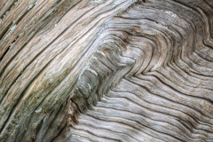 Alan-Marchant-Waves-in-Wood