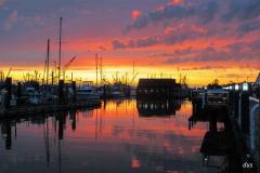 Doorothy-dorothy_2_OpenGallery-IMG_9301-Sunset-at-Steveston1