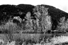 kirby-wang-20250327_145211HeronField17BW-mpc