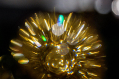 Dorothy-dorothy_2_TableTop-_DSC6845-Table-Top1