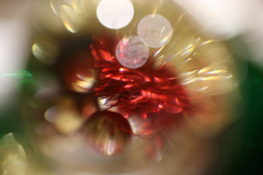 Greg-Meloche-Greg-M-Macro-4