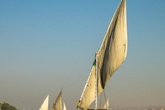 Alan-Marchant-Felucca-on-the-Nile