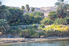 Alan-Marchant-On-the-Nile