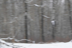 Brenda-Luciuk-Aspen-across