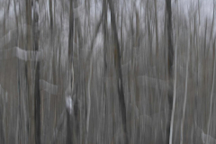 Brenda-Luciuk-Aspen-up-down