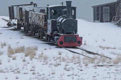Brenda-Luciuk-NA-Train