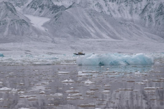 Brenda-Luciuk-Ship-in-ice