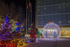 Dorothy-dorothy_5_Open-Gallery-20251226_183004-Christmas-at-City-Hall1
