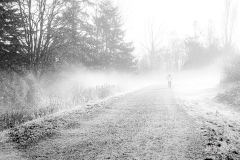 Michael-CHIN-Fog-on-West-Dyke-trail