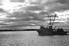 Norm-Ingram-Steveston-1200x800-2