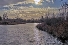 Paul-Rennie-Terra-Nova-pond