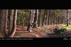 Peter-Lau-_03-MPC-03-23-Open-Gallery-XPan
