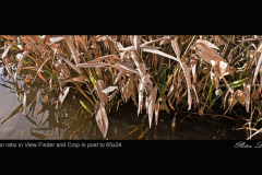 Peter-Lau-_04-MPC-03-23-Open-Gallery-XPan