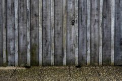 Chuck-Vaugeois-The-Secret-Door