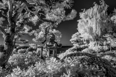 Klaas-Focker-Klaas-open-Gallery-2-2