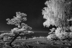 Klaas-Focker-Klaas-open-Gallery-5-2