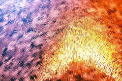 kirby-wang-20240727_071724ObjectdArt2Purple-mpc-2