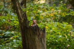 Angela-Gauld-1H5A4022-Edit