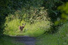 Angela-Gauld-1H5A6616