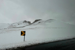 Brenda-Luciuk-Iceland-yellow-sign-J6