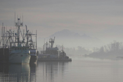 Brenda-Luciuk-Steveston-Harbour-in-fog