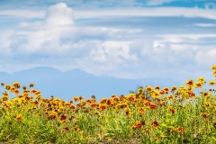 Chuck-Vaugeois-0005-Landscapes