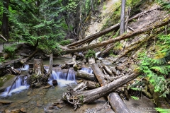 Chuck-Vaugeois-0007-Landscapes