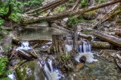 Chuck-Vaugeois-0008-Landscapes