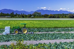 Chuck-Vaugeois-0009-Landscapes