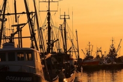 Chuck-Vaugeois-0008-StevestonBC