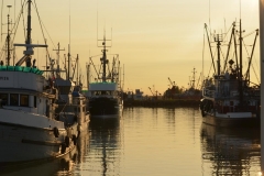 Chuck-Vaugeois-0009-StevestonBC