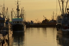 Chuck-Vaugeois-0011-StevestonBC