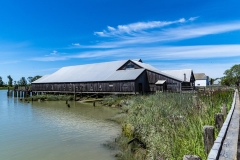 Chuck-Vaugeois-0017-StevestonBC