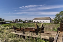 Chuck-Vaugeois-0019-StevestonBC