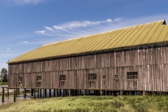 Chuck-Vaugeois-0021-StevestonBC