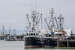 Chuck-Vaugeois-0023-StevestonBC