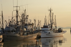 Chuck-Vaugeois-0026-StevestonBC